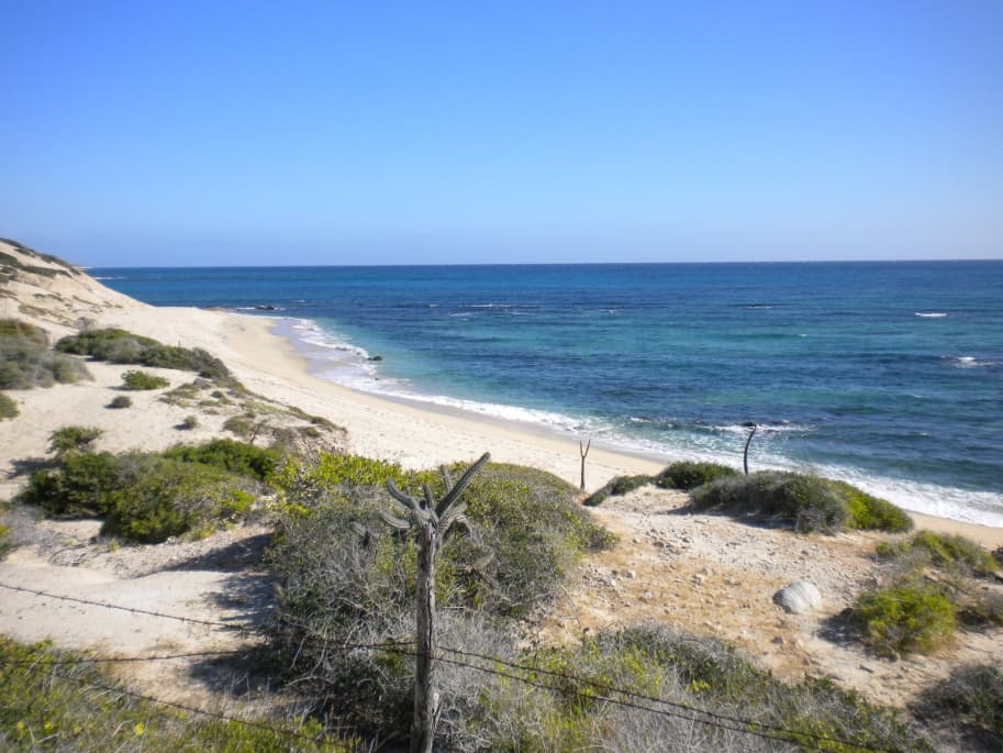 South view along the shoreline